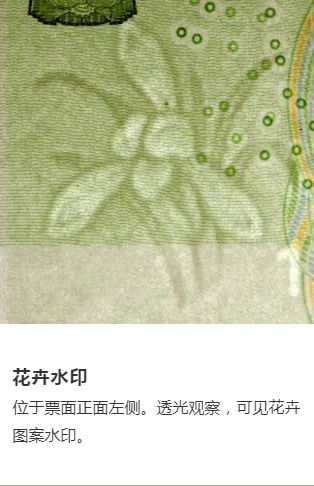 2019版第五套人民币纸币花卉有何作用？这一点你一定不知道！