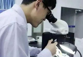 如何鉴定翡翠 最快速辨别翡翠真伪的方法