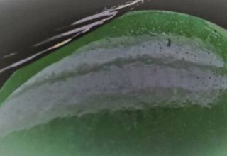 覆膜处理翡翠又称D货翡翠  怎么鉴定D货翡翠