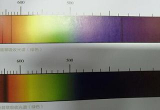 鉴别与评价翡翠的重要因素是什么   翡翠的好坏由什么决定的