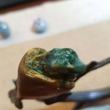 那么逼真的翡翠蜥蜴雕刻 居然吓晕人