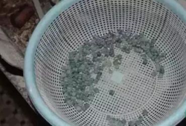 小小一串翡翠珠子价值8亿，翡翠珠子为什么这么值钱？