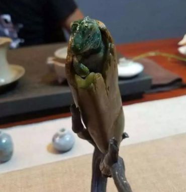 那么逼真的翡翠蜥蜴雕刻 居然吓晕人