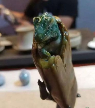 那么逼真的翡翠蜥蜴雕刻 居然吓晕人