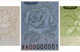 2019版第五套人民幣花卉圖案細(xì)節(jié)介紹 這些花卉有哪些寓意？