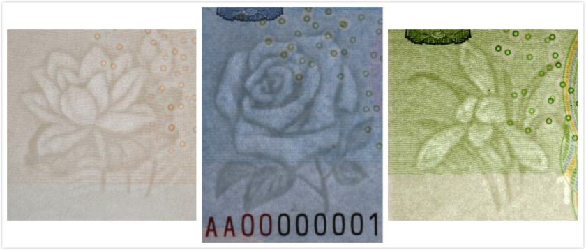 2019版第五套人民币花卉图案细节介绍 这些花卉有哪些寓意？