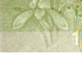 2019年第五套人民幣1元花卉變化細(xì)節(jié) 附高清圖片詳解