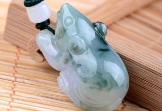 翡翠鼠有什么寓意和含义  如何挑选翡翠鼠