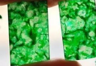 传说中这种玉能将耳根都映绿 好神奇！
