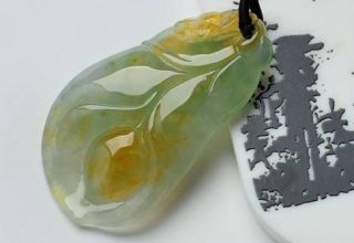 翡翠玉兰花寓意有哪些  翡翠玉兰花鉴赏及介绍