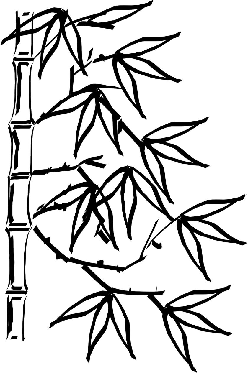 国画竹子的绘画技巧初学者怎么处理线条