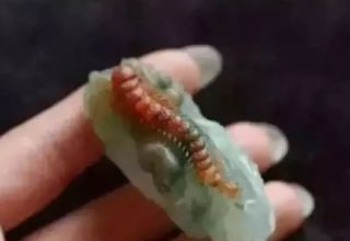 什么是翡翠“五毒” 它们各有什么寓意呢