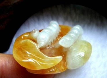 无私奉献的翡翠蚕代表的寓意是什么呢