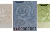 你仔细看过2019版第五套人民币花卉图案吗？附五版币花卉图案图片