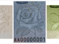 你仔细看过2019版第五套人民币花卉图案吗？附五版币花卉图案图片
