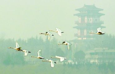黄河三门峡个性化邮票介绍及价值分析   设计特点