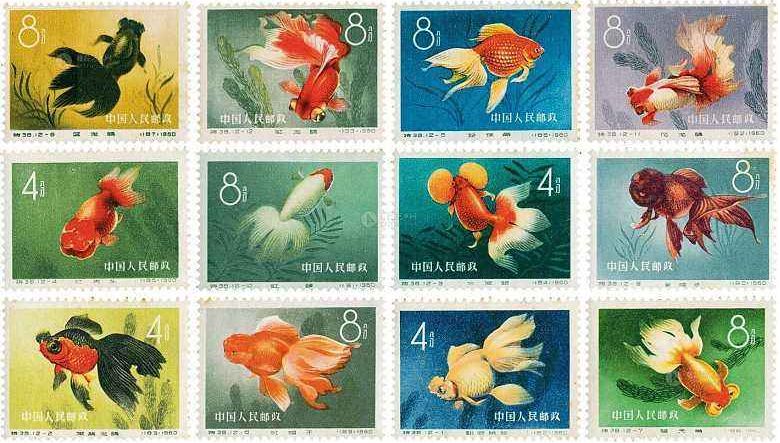 金鱼特种邮票发行题材特殊，市场价格上涨高