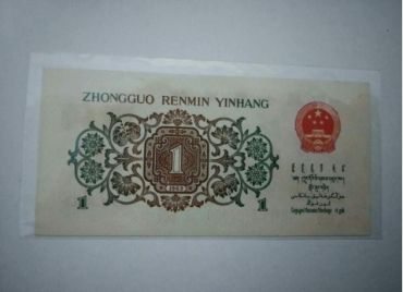 背绿的飞跃