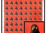 80年庚申猴票市场表现有史最佳，是市场上的奇迹