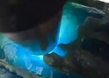 危料蓝水翡翠对人体有害是真的吗 危料和蓝水翡翠的区别