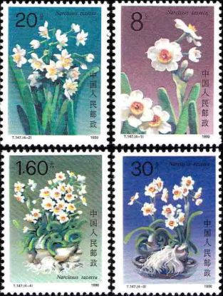 邮票收藏过程中需要注意的十个禁忌都有哪些？