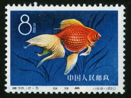 金鱼邮票应该如何辨别真伪？鉴别金鱼邮票真假的方法有哪些？