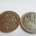 1999年菊花一元硬币值多少钱   1999年菊花一元硬币价值分析