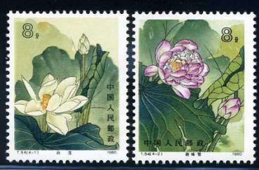 邮票收藏的方法都有哪些？怎么收藏邮票？
