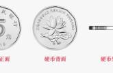 2019年5角硬币  2019年5角硬币的变化