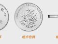 新版一塊錢硬幣圖片 新版一塊錢硬幣特征