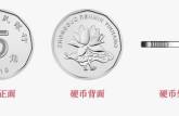 新式的五角硬币   新式的五角硬币图片