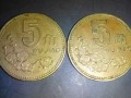 五角硬幣梅花   五角硬幣梅花收藏價值