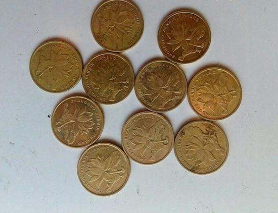 2005年5角硬币收藏价值   2005年5角硬币价格多少