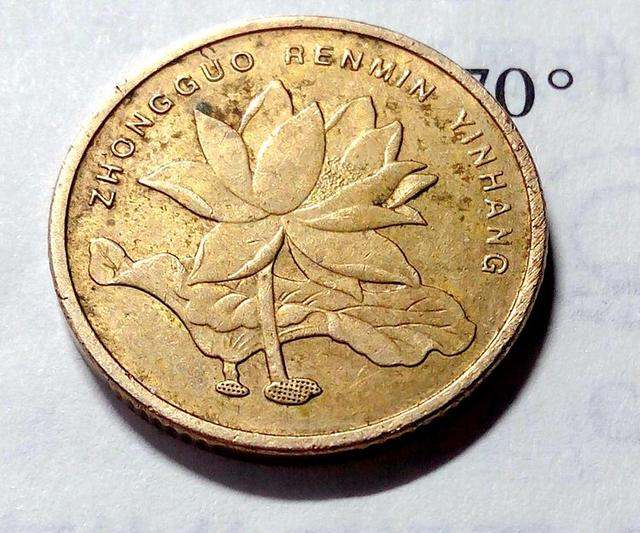 2002年5角硬币值多少钱  荷花5角硬币价格表
