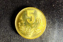 硬币梅花5角市场价格  硬币梅花5角值钱吗