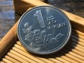 1996年1元牡丹硬幣價(jià)格   1996年1元牡丹硬幣值錢(qián)嗎