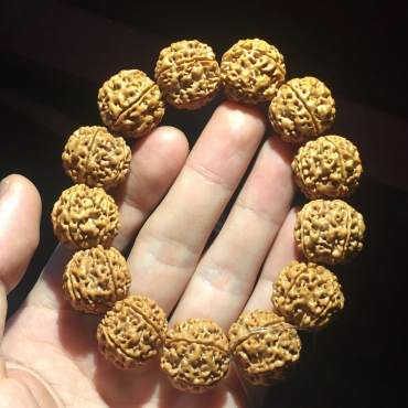 怎样挑选金刚菩提?   金刚菩提为什么会变红