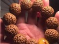 小桃核手串圖片  桃核手串紋理