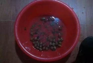 桃核手串制作过程图解  桃核手串制作过程详解