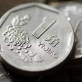 1991年的菊花1角硬币多少钱   1991年的菊花1角硬币价值分析