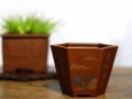 紫砂花盆 紫砂花盆有什么特點(diǎn)