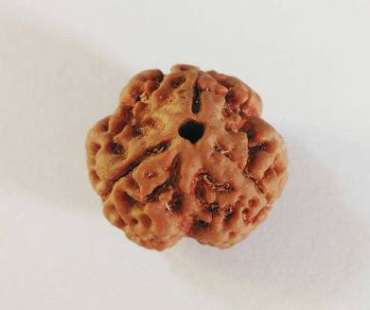 金刚菩提子手串价格   金刚菩提子手串多少钱