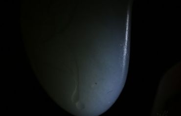 如何分辨和田玉 分辨和田玉真假图片