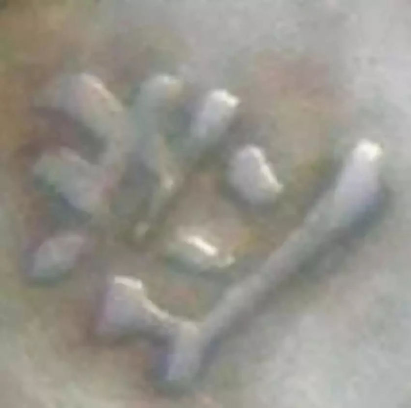 袁大头版别图详解  袁大头有什么版别