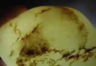 和田玉籽料结构 和田玉籽料结构应该是什么样的