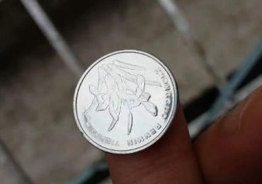1999兰花一角硬币 1999兰花一角硬币值多少钱
