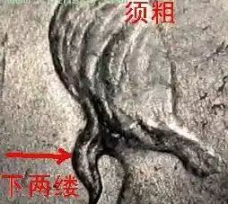 民国三年造袁大头和九年造袁大头图片     民国三年造袁大头和九年造袁袁大头版别