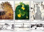 《吴冠中作品选》特种邮票发行量和规格详情介绍