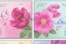 《玫瑰》特种邮票什么时候发行的？玫瑰邮票发行量有多少？