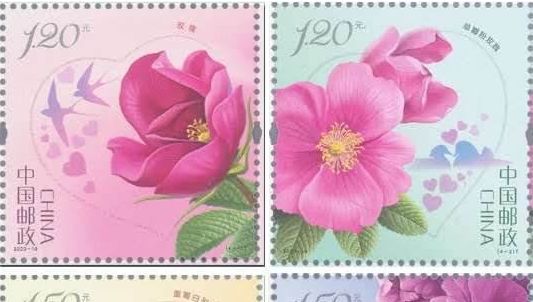 《玫瑰》特种邮票什么时候发行的？玫瑰邮票发行量有多少？